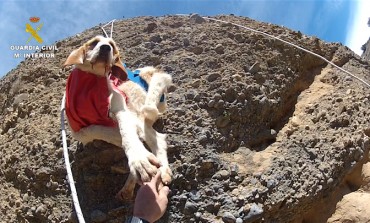 La Guardia Civil rescata a tres perros enriscados en la sierra de Guara