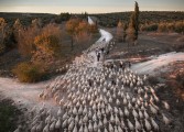 GRHUSA, el IES Pirámide, la asociación Castillo de Troncedo, Ronda Somontano y Susana Girón, nombres de los Félix de Azara