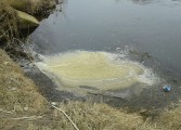 Posibles vertidos contaminantes en el Cinca