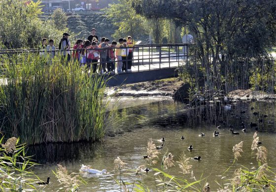 Más de 500 expertos de parques y jardines apostarán en Santander por la biodiversidad y las estructuras verdes como herramienta para crear espacios urbanos más habitables﻿