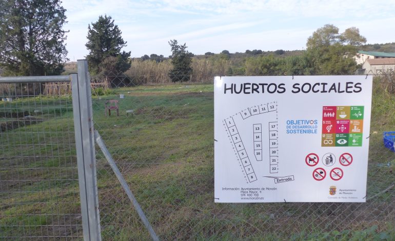 La brigada forestal acondiciona las 22 parcelas de los huertos sociales de Monzón