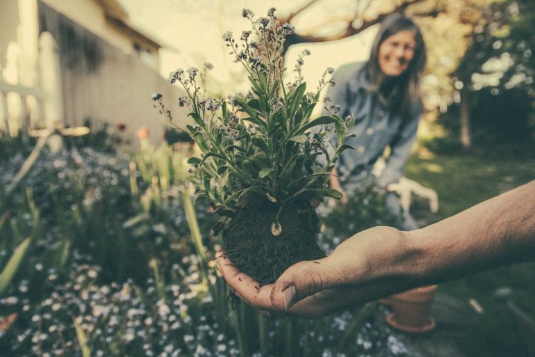 Servicios de jardinería general a domicilio en Lima, Perú