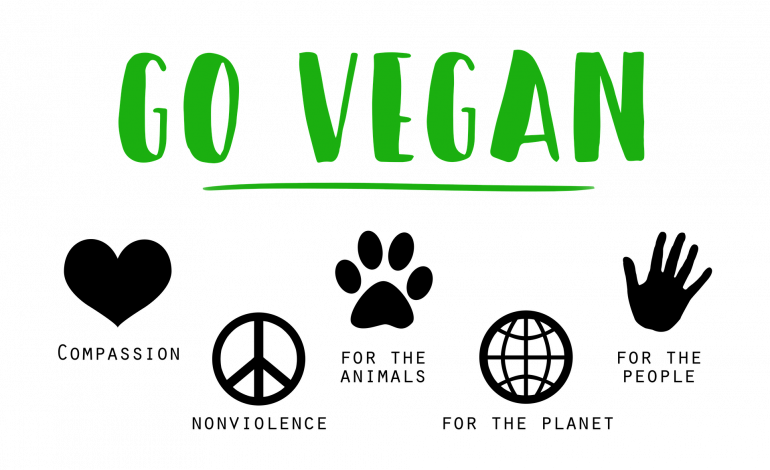 El veganismo llega al marketing: ventajas de una agencia de marketing digital vegana