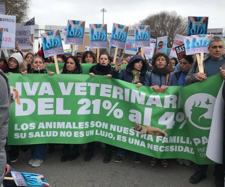 PACMA acusa a María Jesús Montero de alinearse con el PP al mantener la subida del IVA veterinario de Rajoy