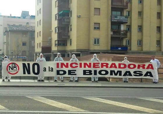 Ecologistas en Acción interpone recurso de alzada contra la propuesta de Red de Calidad del Aire presentada por Solmasol para la Incineradora de Biomasa de Monzón