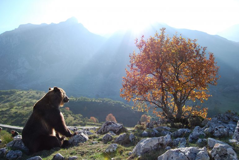 Semana del Pirineismo en Graus